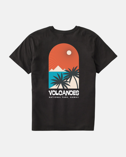 Mystery National Parks Tee 2-Pack