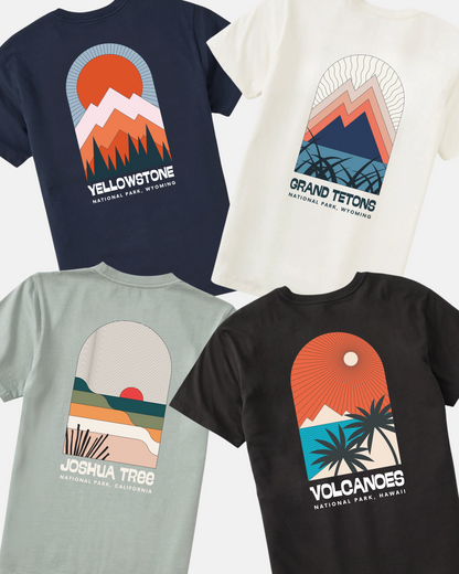 Mystery National Parks Tee 2-Pack
