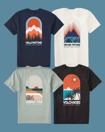 Mystery National Parks Tee 2-Pack